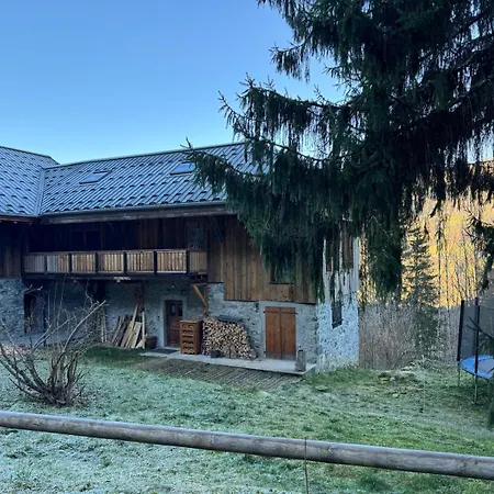 Chalet La Foge - Samoens X 14, Skis Aux Pieds Morillon Exterior photo